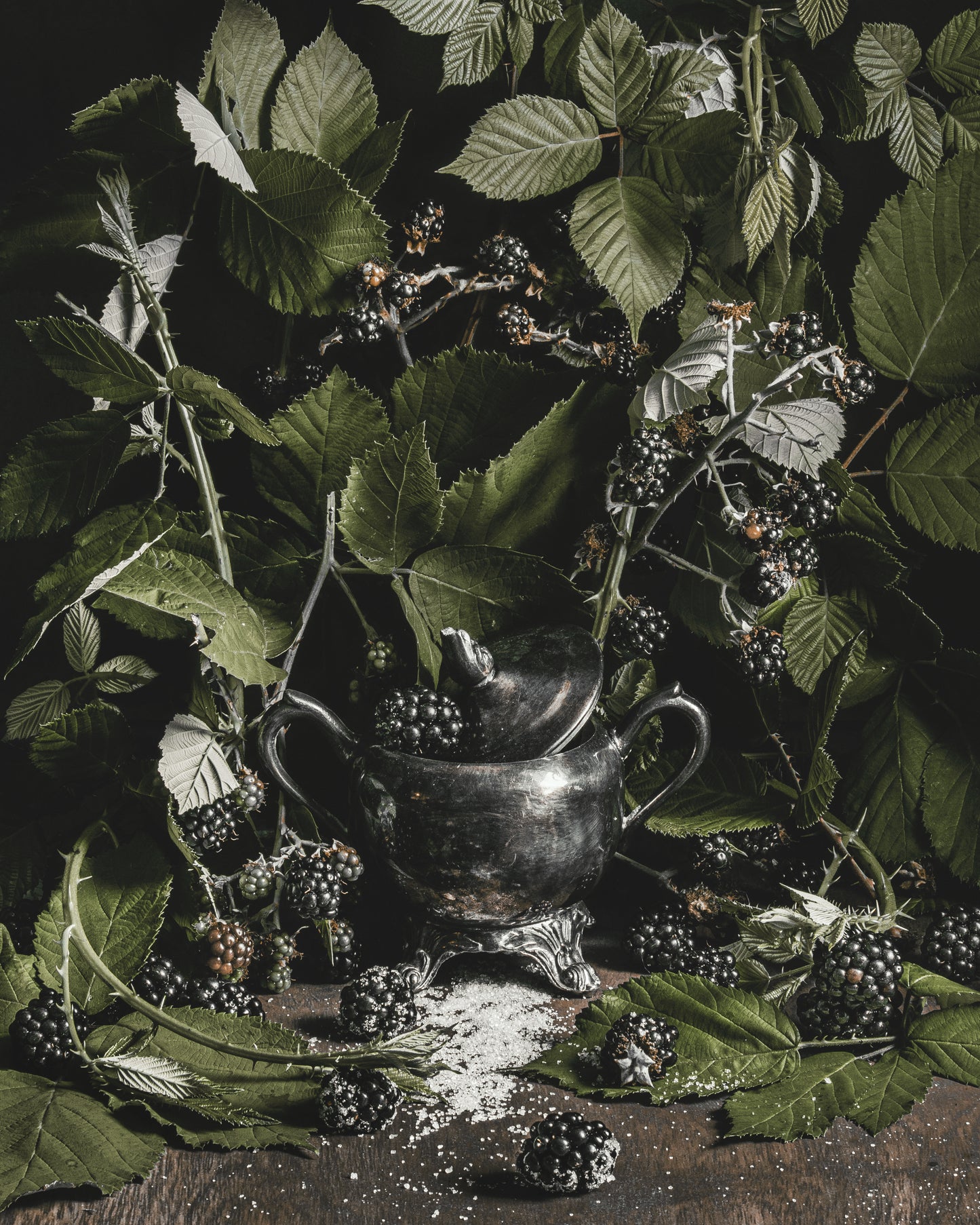 BLACKWOOD - HEIRLOOM FINE ART PRINT