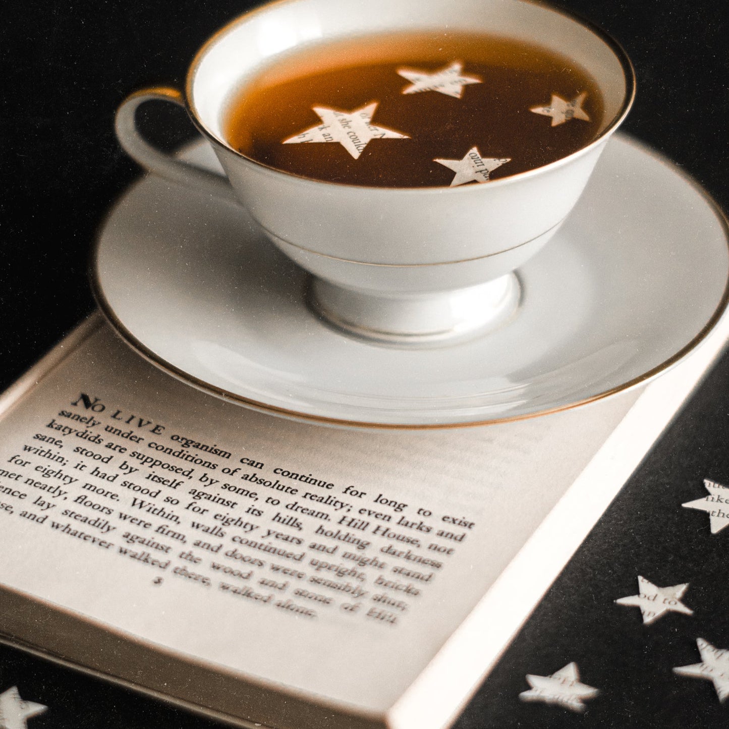 CUP OF STARS - HEIRLOOM FINE ART PRINT