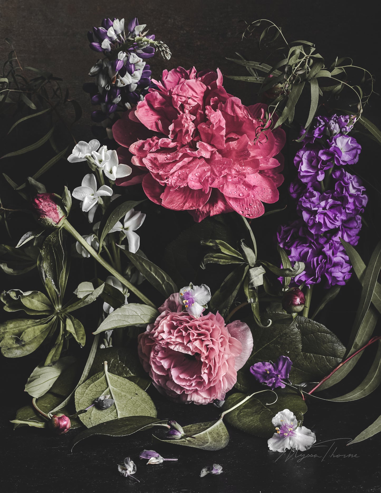 The Giclée Art Print - The Feral Gardener