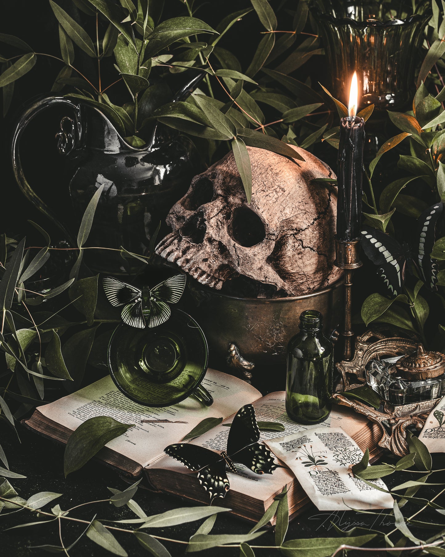 POISON STUDY - HEIRLOOM FINE ART PRINT