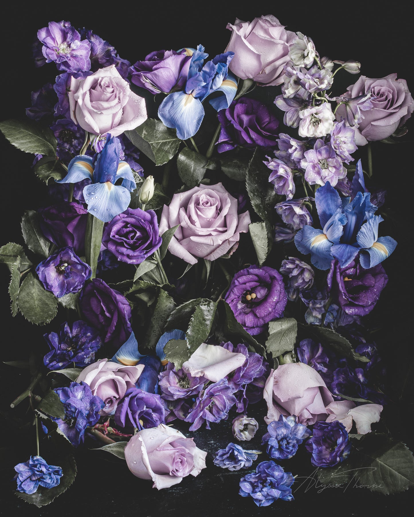OASIS - HEIRLOOM FINE ART PRINT