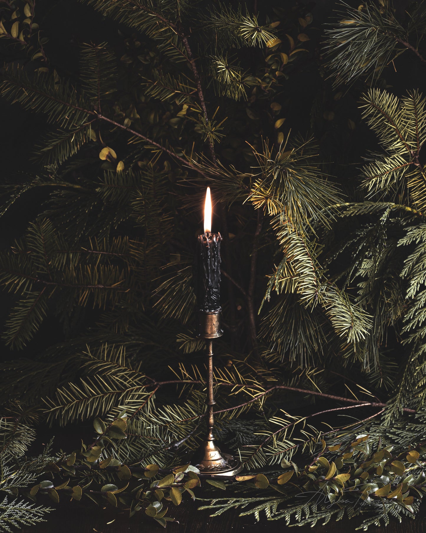 The Giclée Art Print - The Longest Year