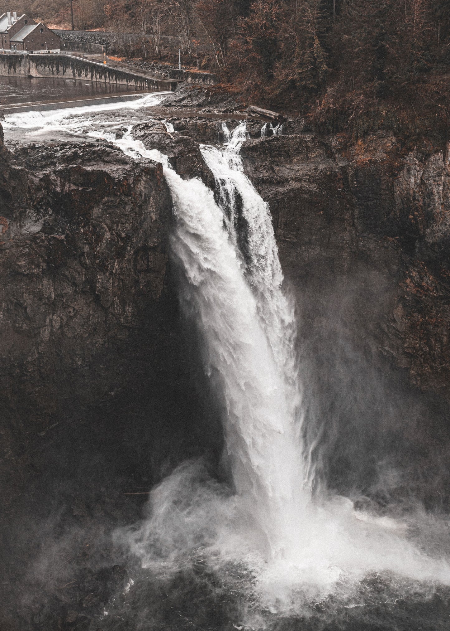 The Giclée Art Print - Twin Peaks