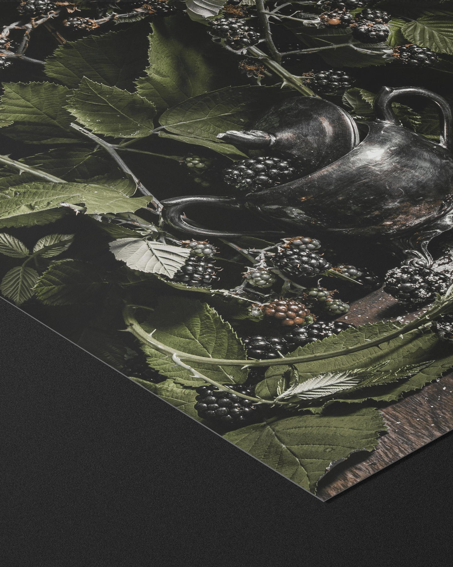 BLACKWOOD - HEIRLOOM FINE ART PRINT