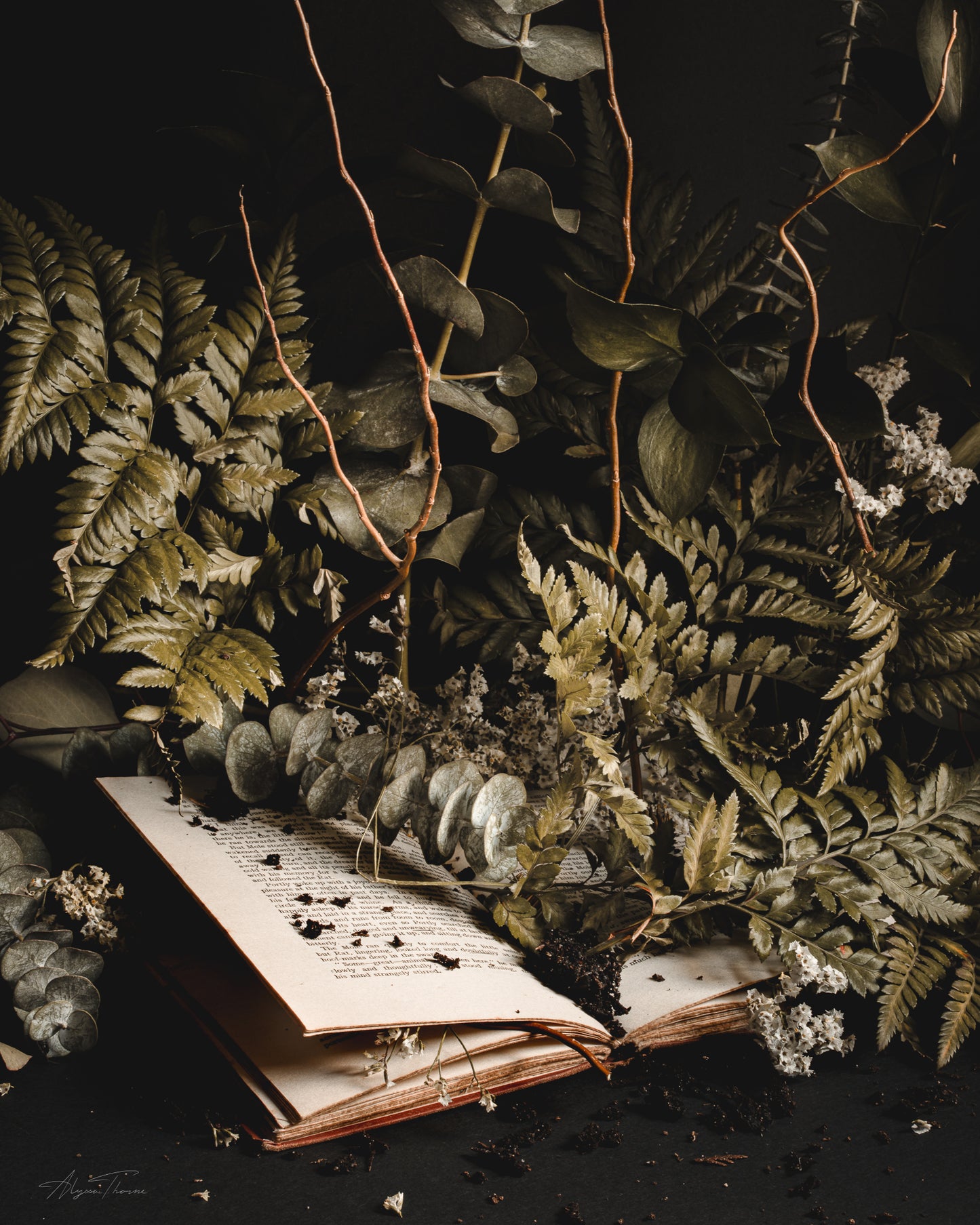 The Luxe Art Card - Hinterland Overgrowth