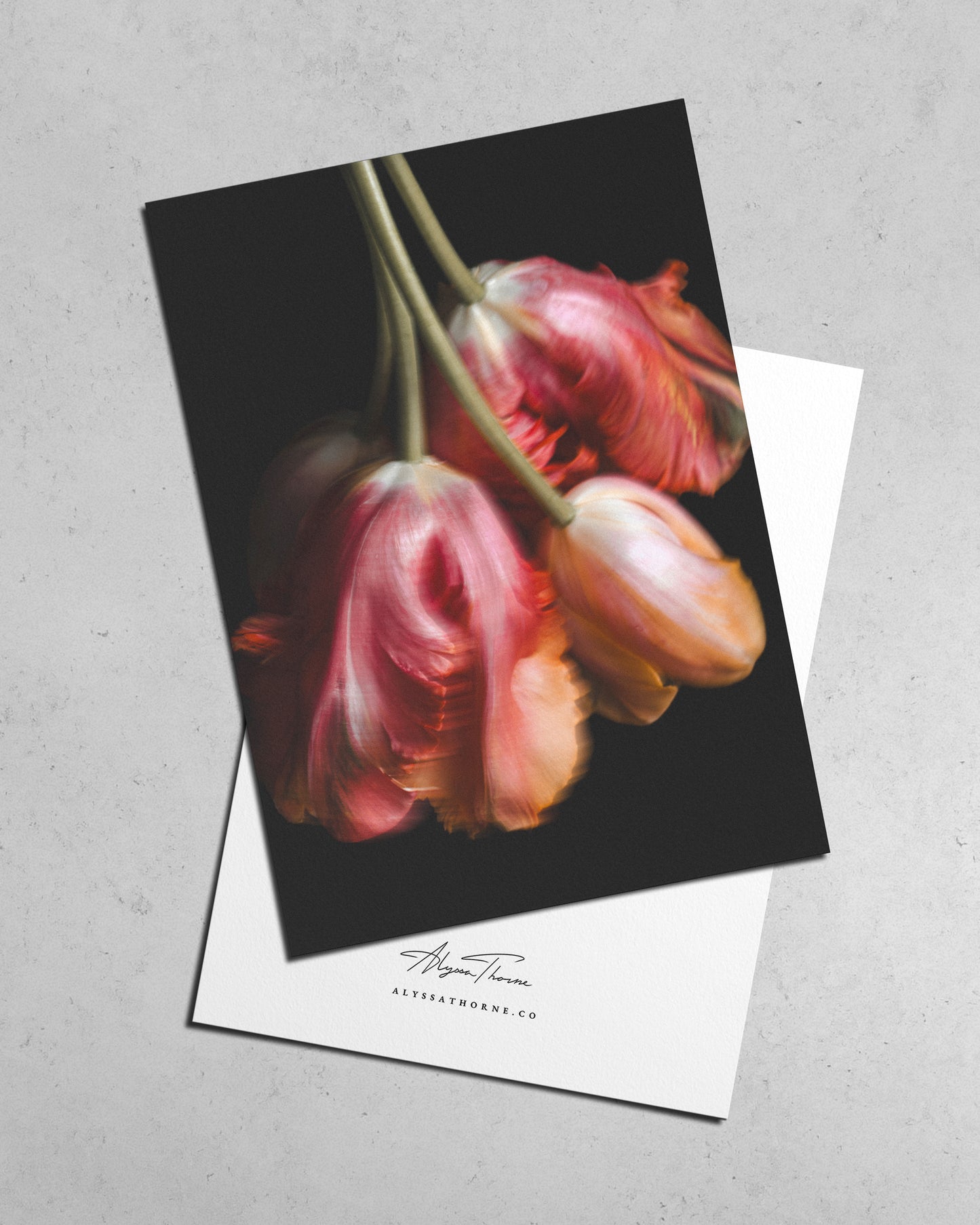 SHIMMER - POSTCARD