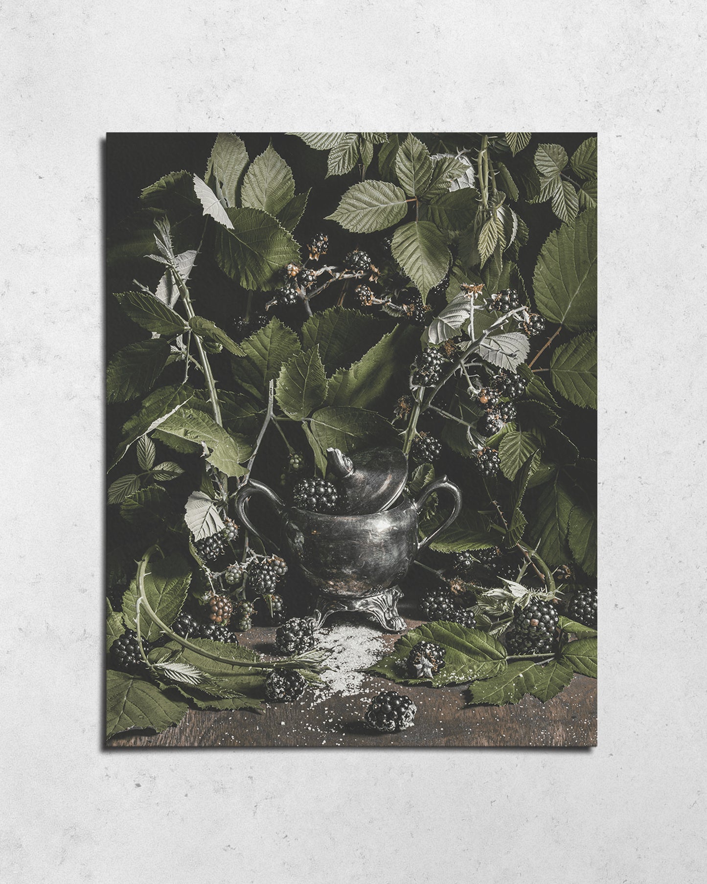 BLACKWOOD - HEIRLOOM FINE ART PRINT