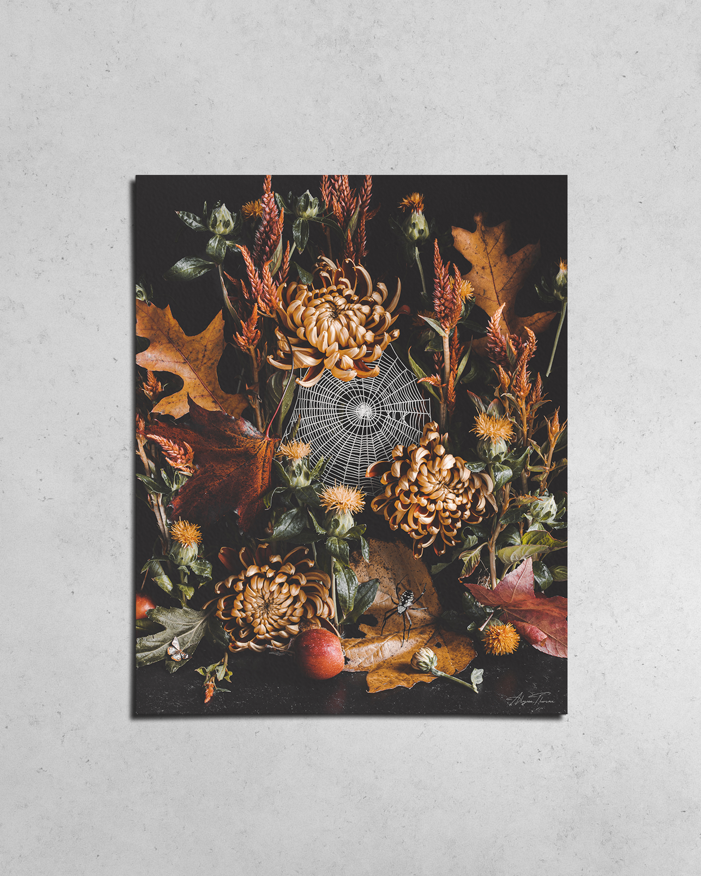The Luxe Art Card - Webs At Dawn