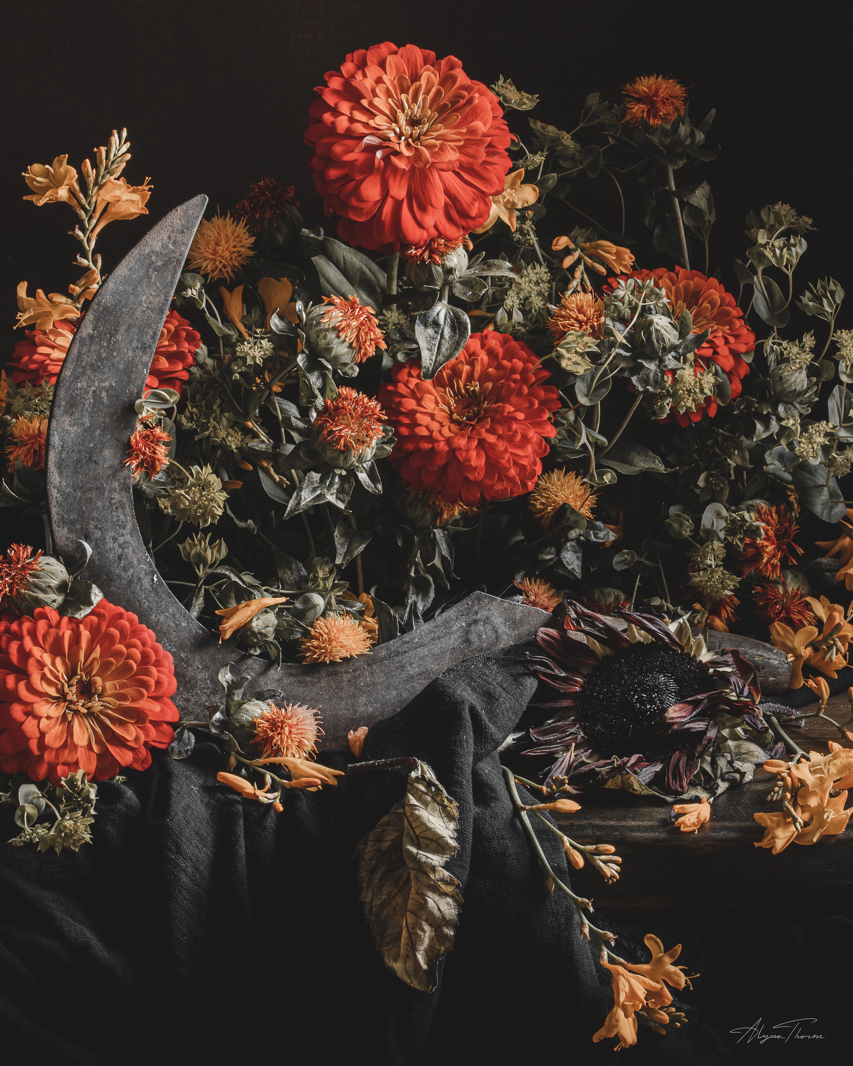 A SONG FOR AUTUMN