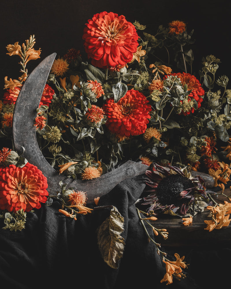 The Autumn Collection