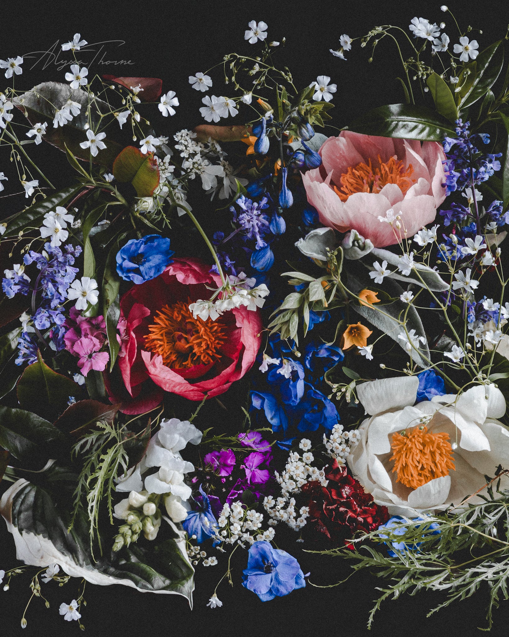 EFFLORESCENCE - FINE ART PRINTS