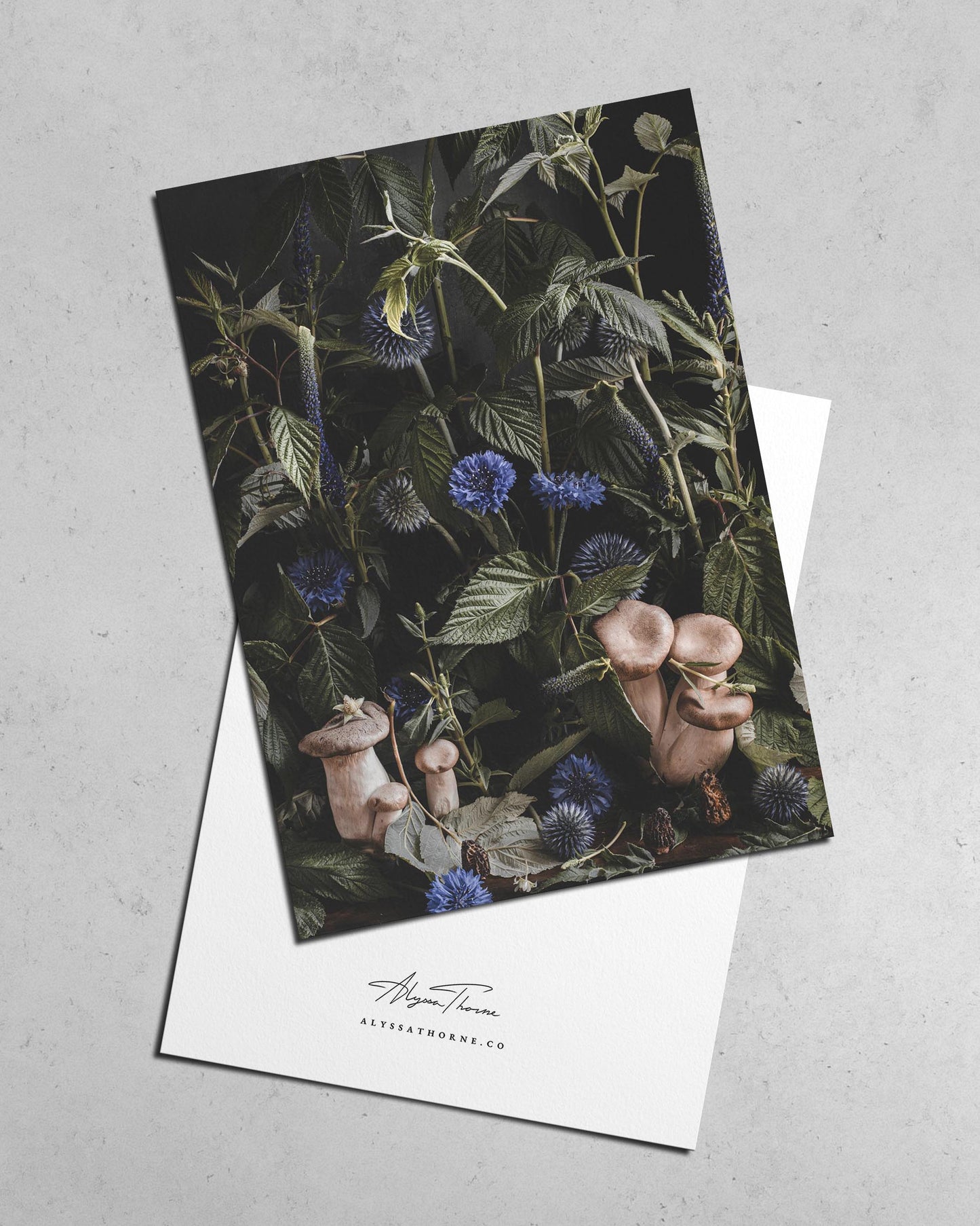 UNDERGROWTH | POSTCARD