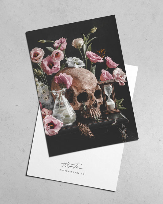 VANITAS I | POSTCARD