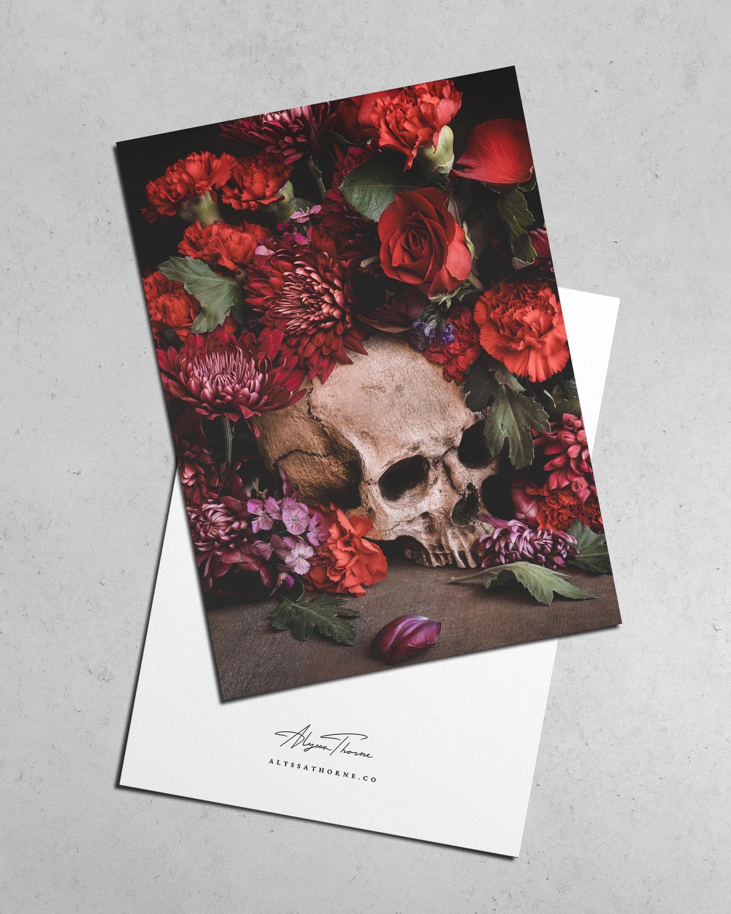 SUNSET IN DEATH'S GARDEN | POSTCARD