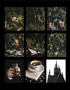 MYSTERY – 5 MINI PRINT BOOSTER PACK