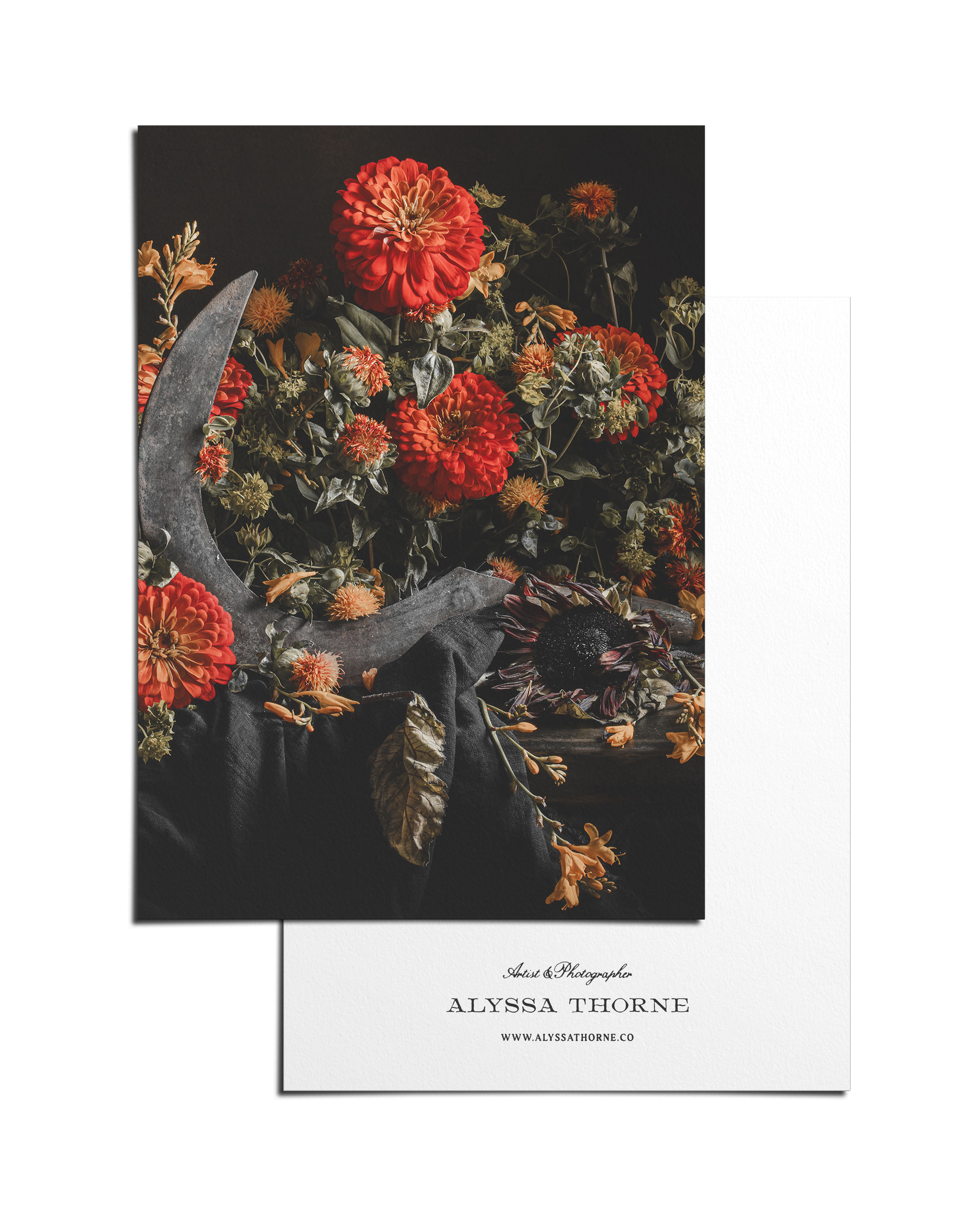 A Song For Autumn - 5 X 7 Postcard