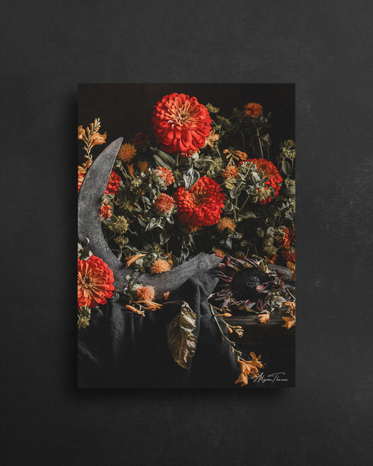 A Song For Autumn - 5 X 7 Postcard