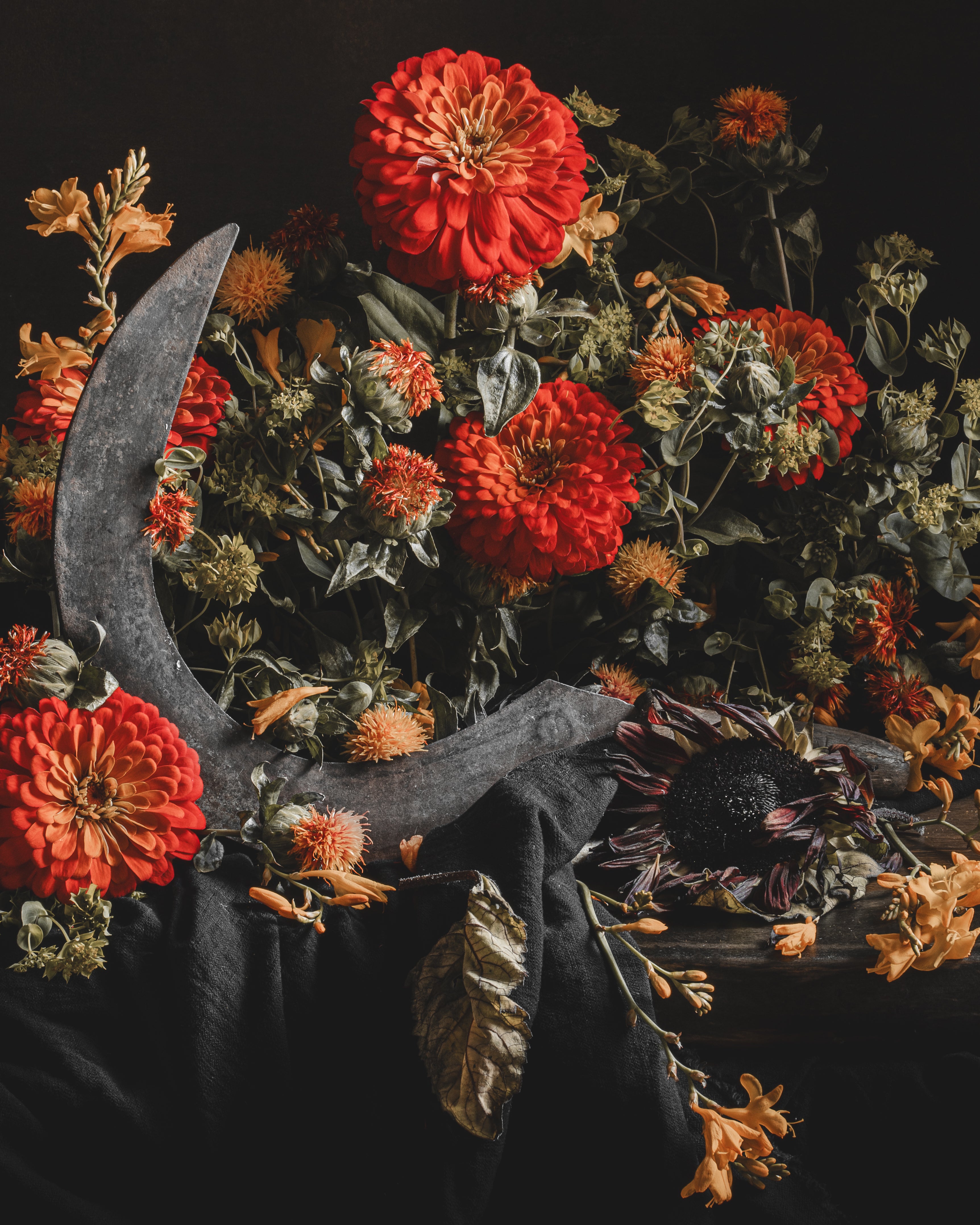 A SONG FOR AUTUMN - FINE ART PRINTS