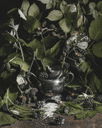 Blackwood - Fine Art Prints