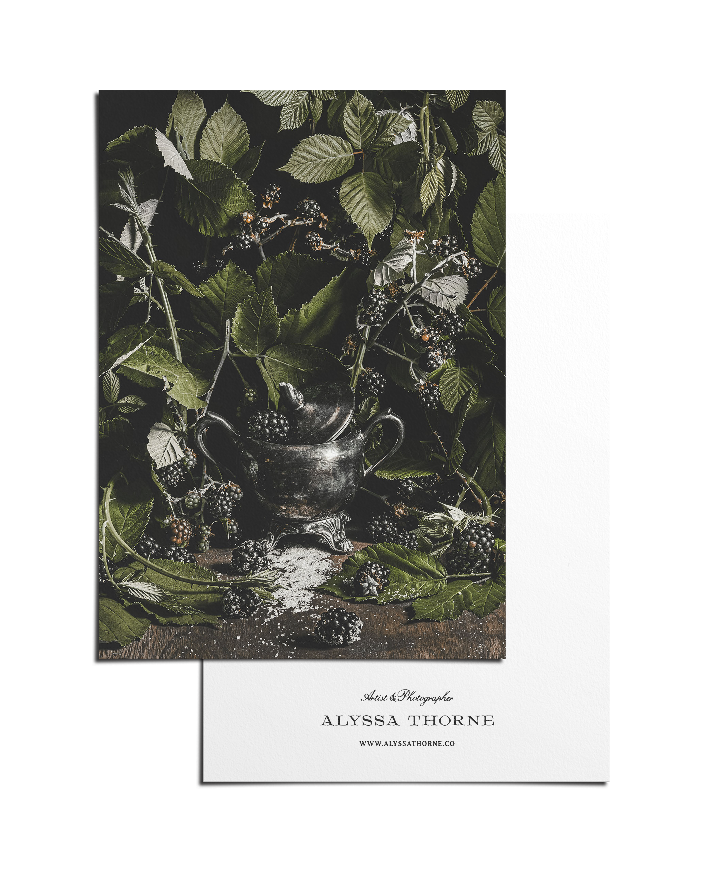 BLACKWOOD - POSTCARD