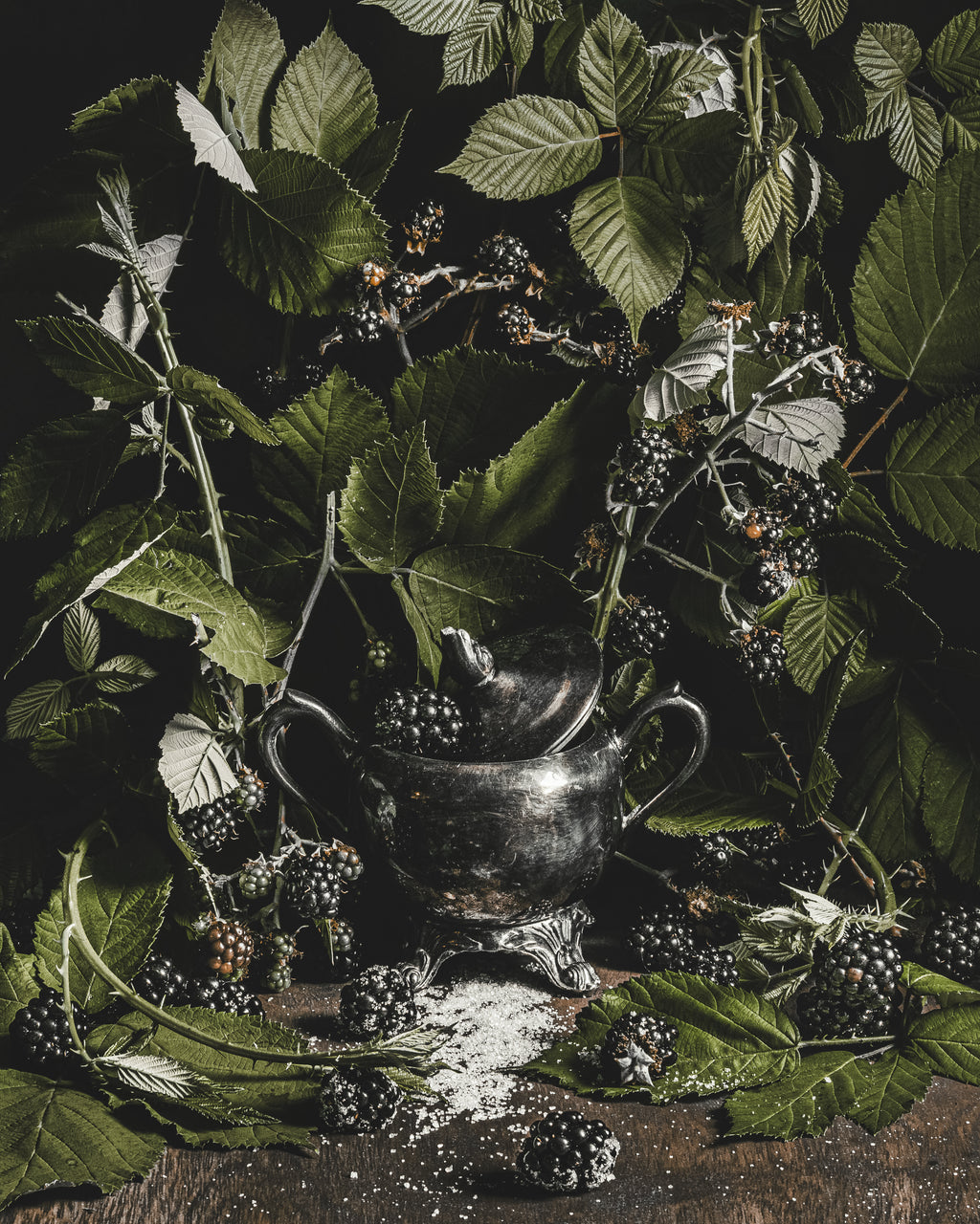 Blackwood | Art Prints