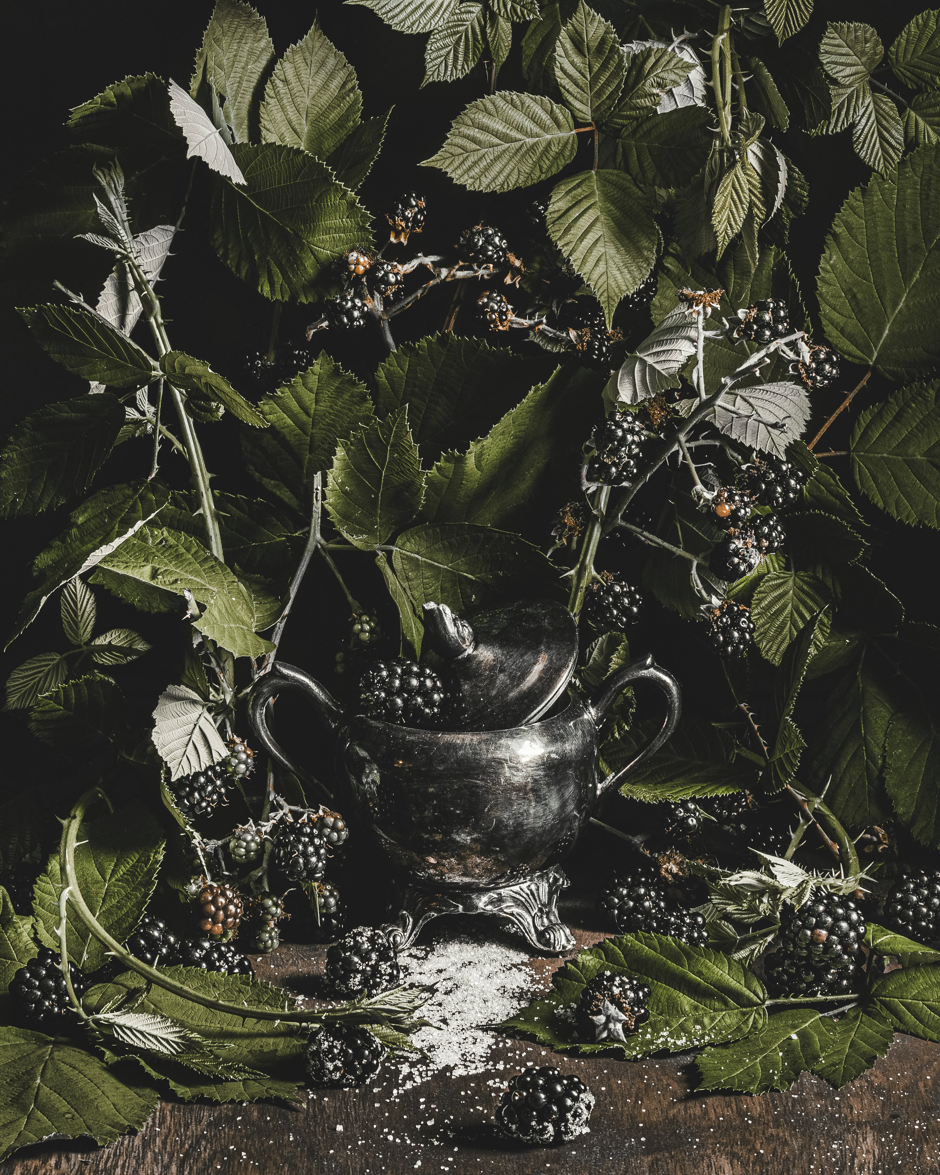 Blackwood | Art Prints