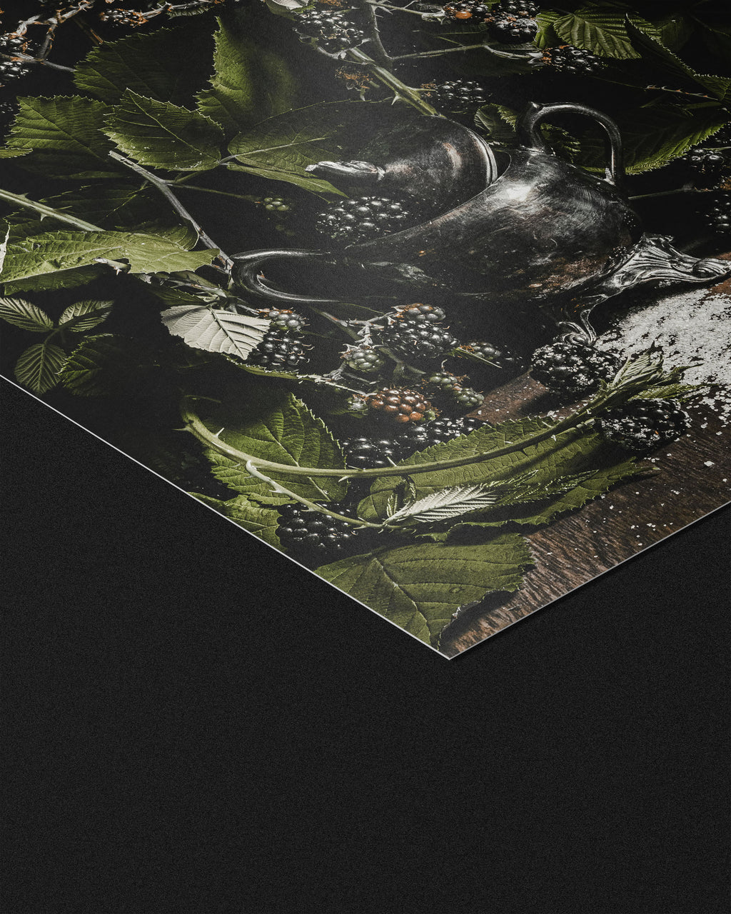 Blackwood - Fine Art Prints