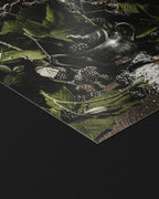 Blackwood - Fine Art Prints