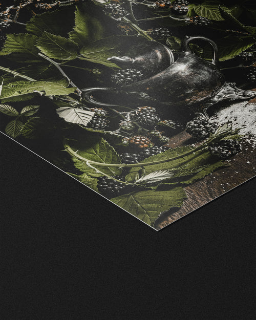 Blackwood | Art Prints
