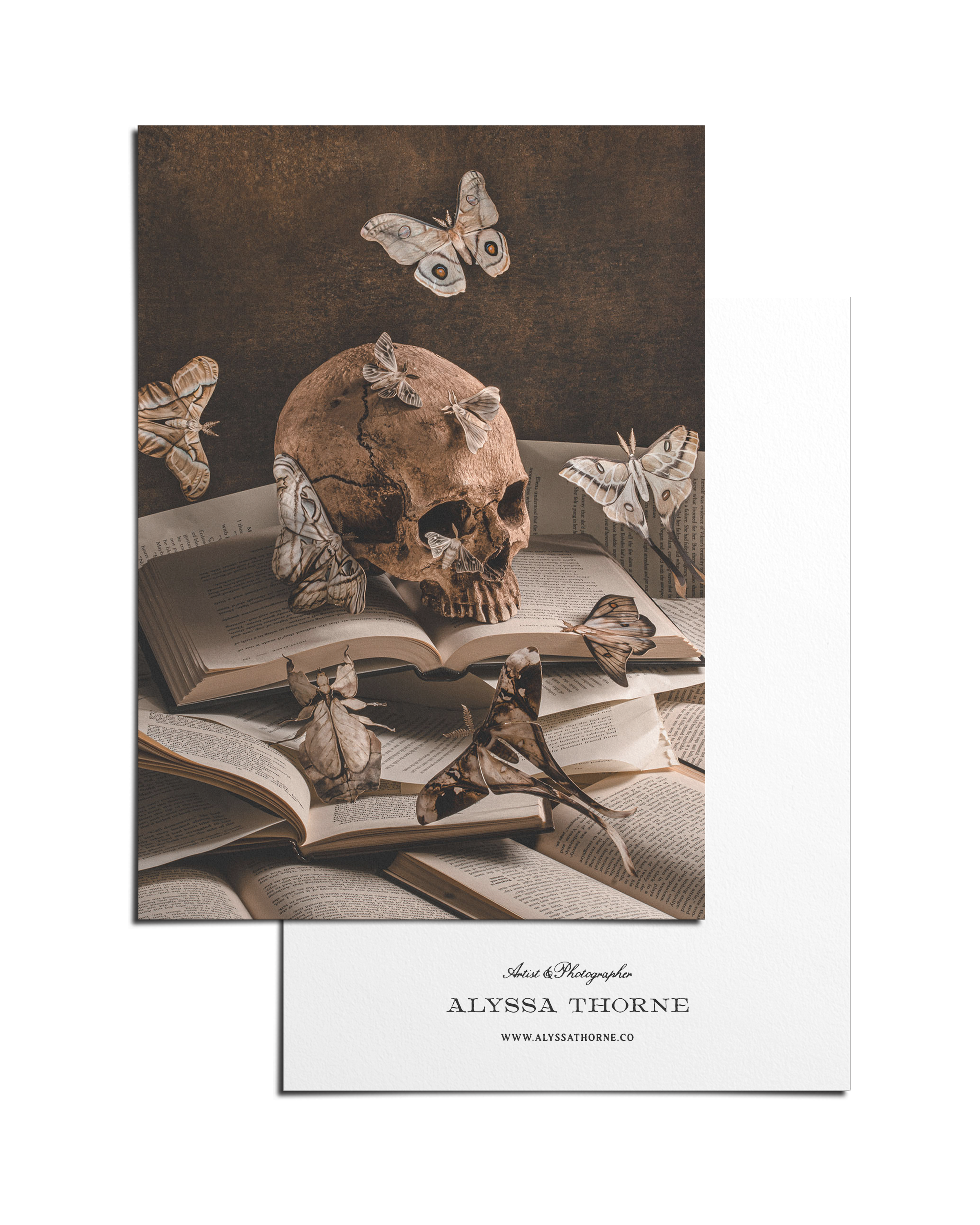 Bury Me In The Library - 5 X 7 Postcard