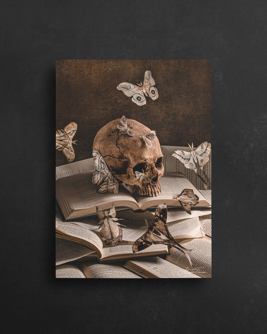 Bury Me In The Library - 5 X 7 Postcard
