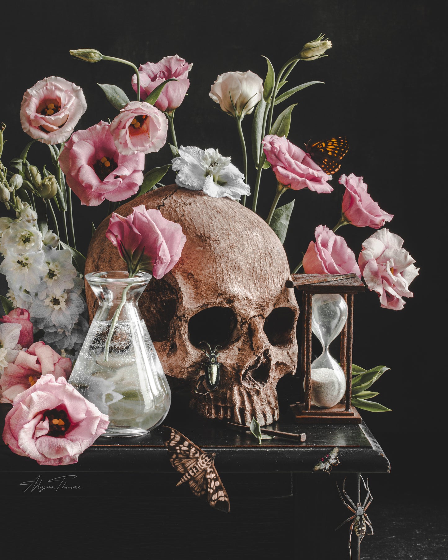 GOTHIC ROMANCE MINI PEARL PRINTS