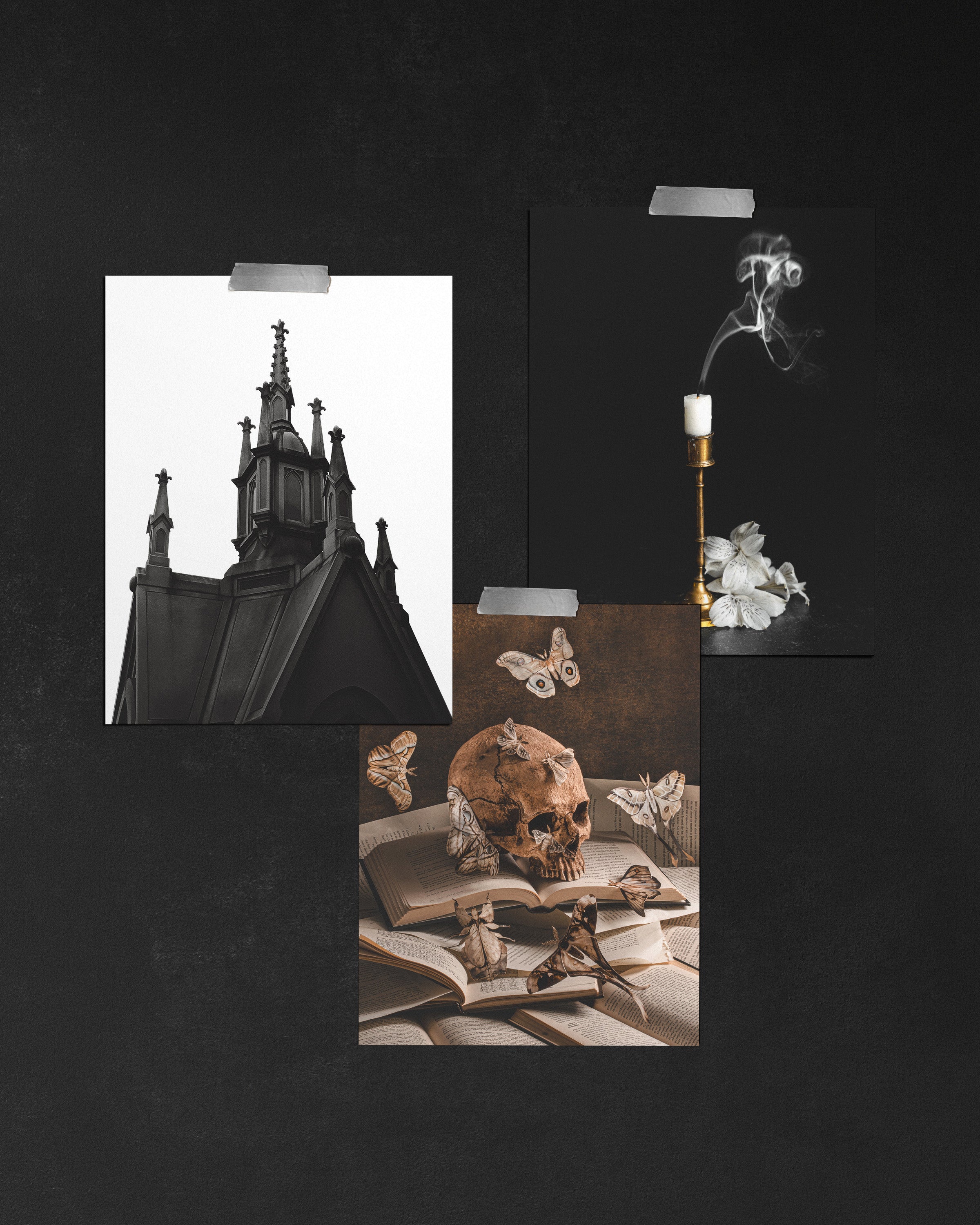Dark Academia - 8.5 X 11 Poster Trio