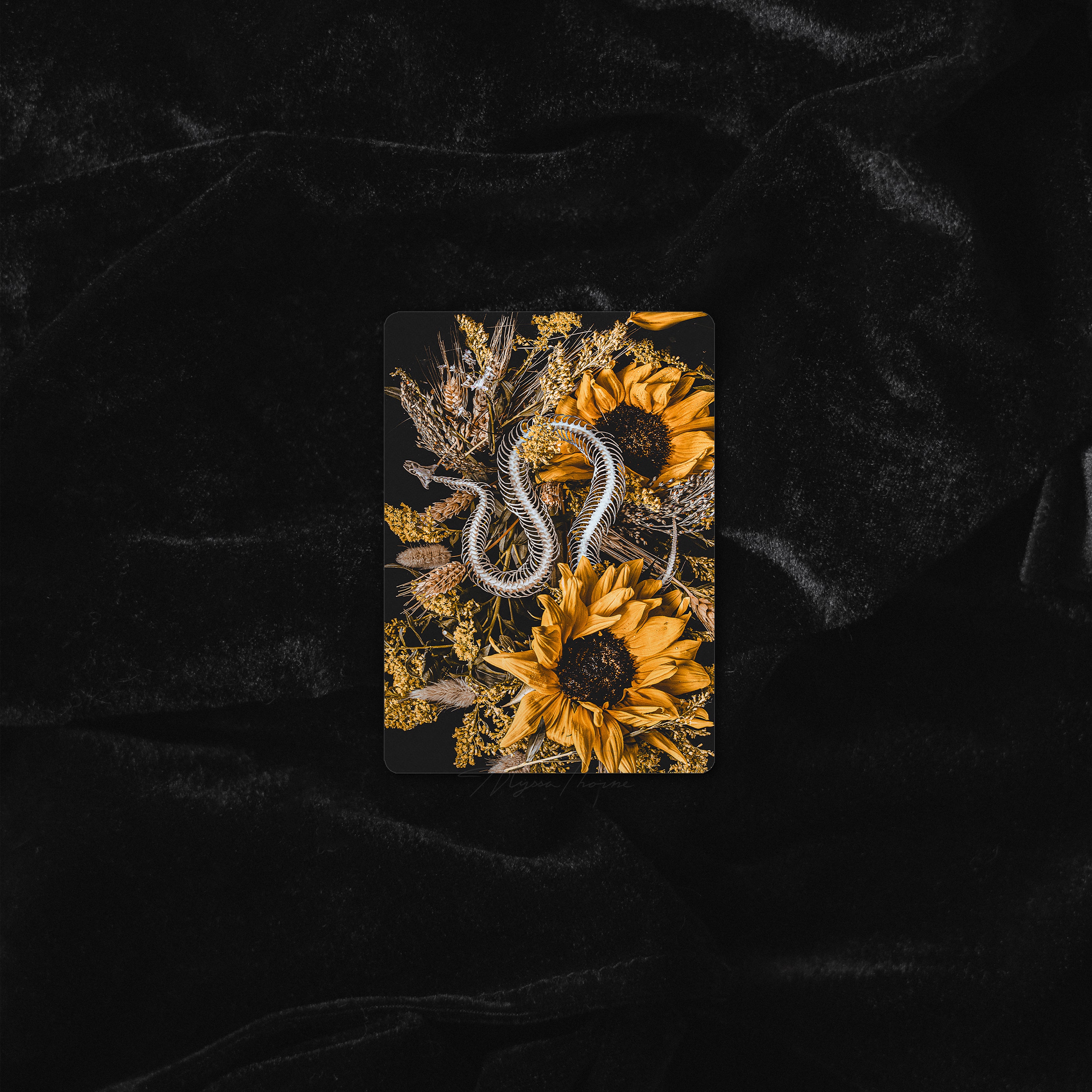 DEATH OF SEASONS | TRADING CARD PRINT