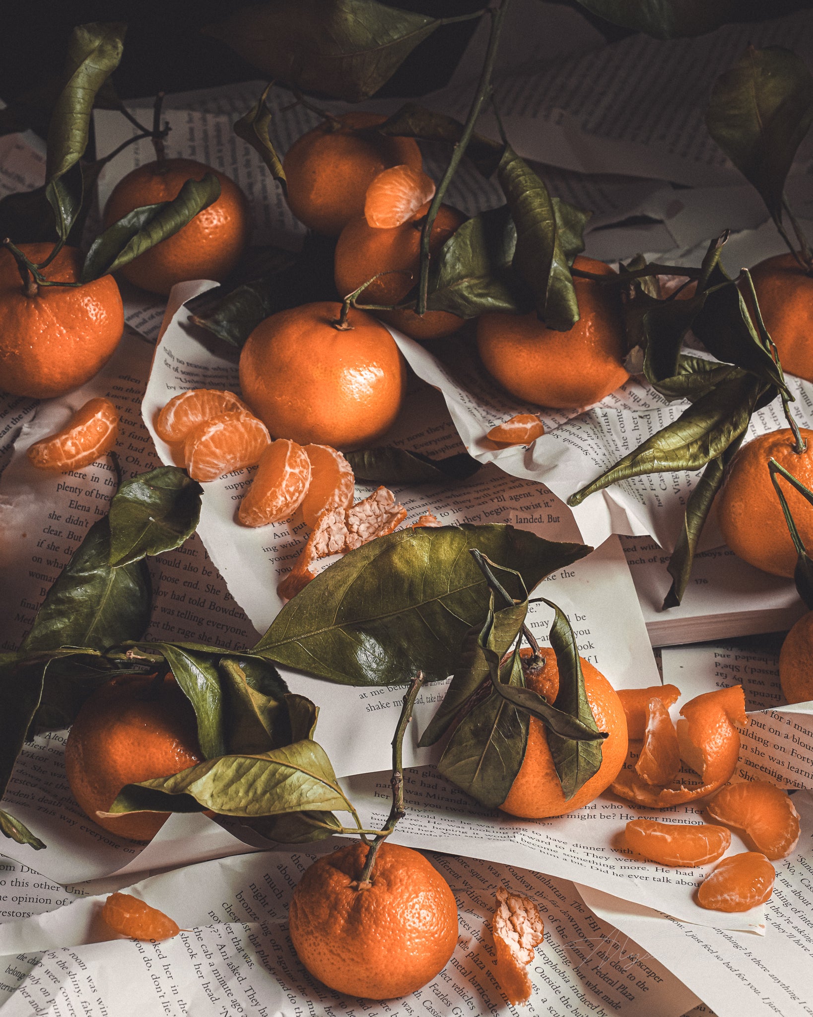 CITRUS SYMPHONY - FINE ART PRINTS