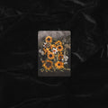 SYNTHESIS | TRADING CARD PRINT