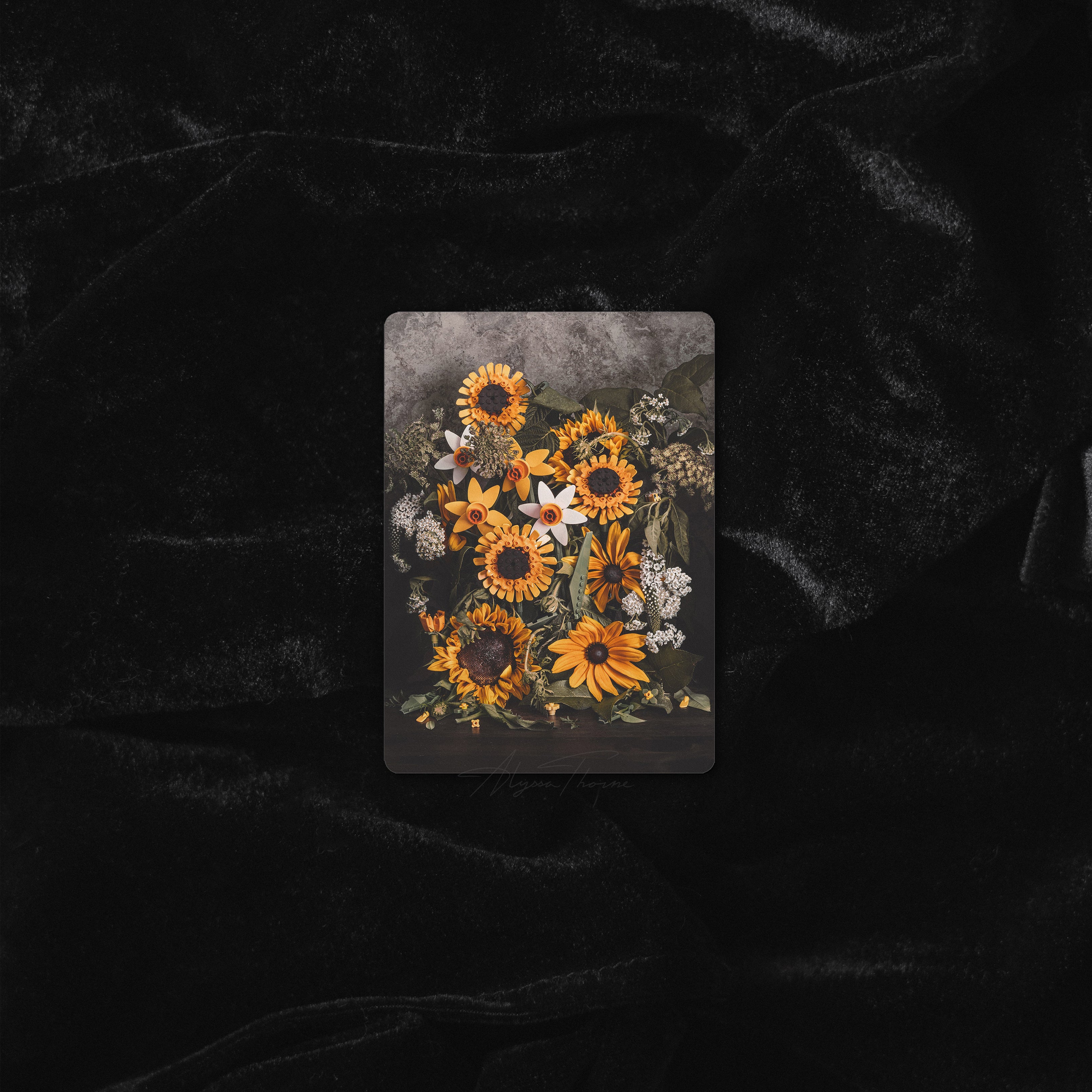 SYNTHESIS | TRADING CARD PRINT