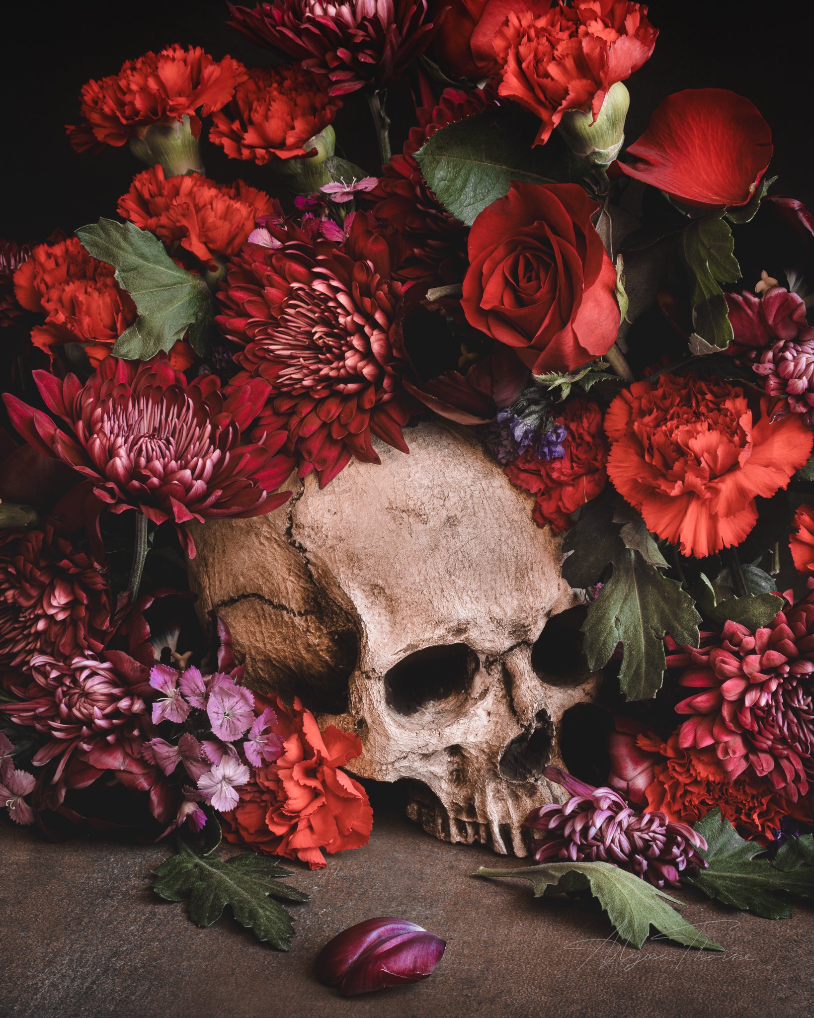 SUNSET IN DEATH'S GARDEN - FINE ART PRINTS