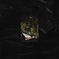 HINTERLAND OVERGROWTH | TRADING CARD PRINT