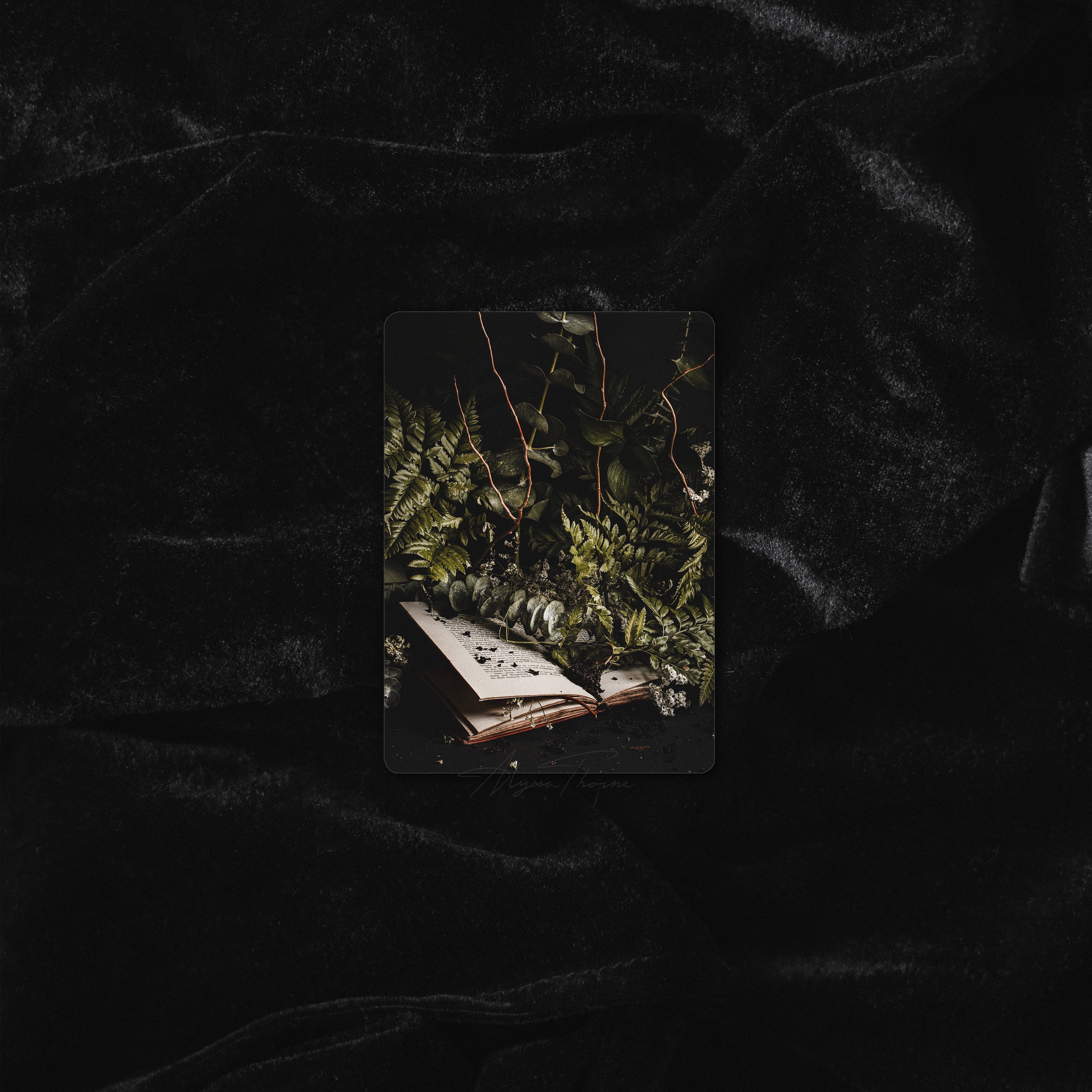HINTERLAND OVERGROWTH | TRADING CARD PRINT