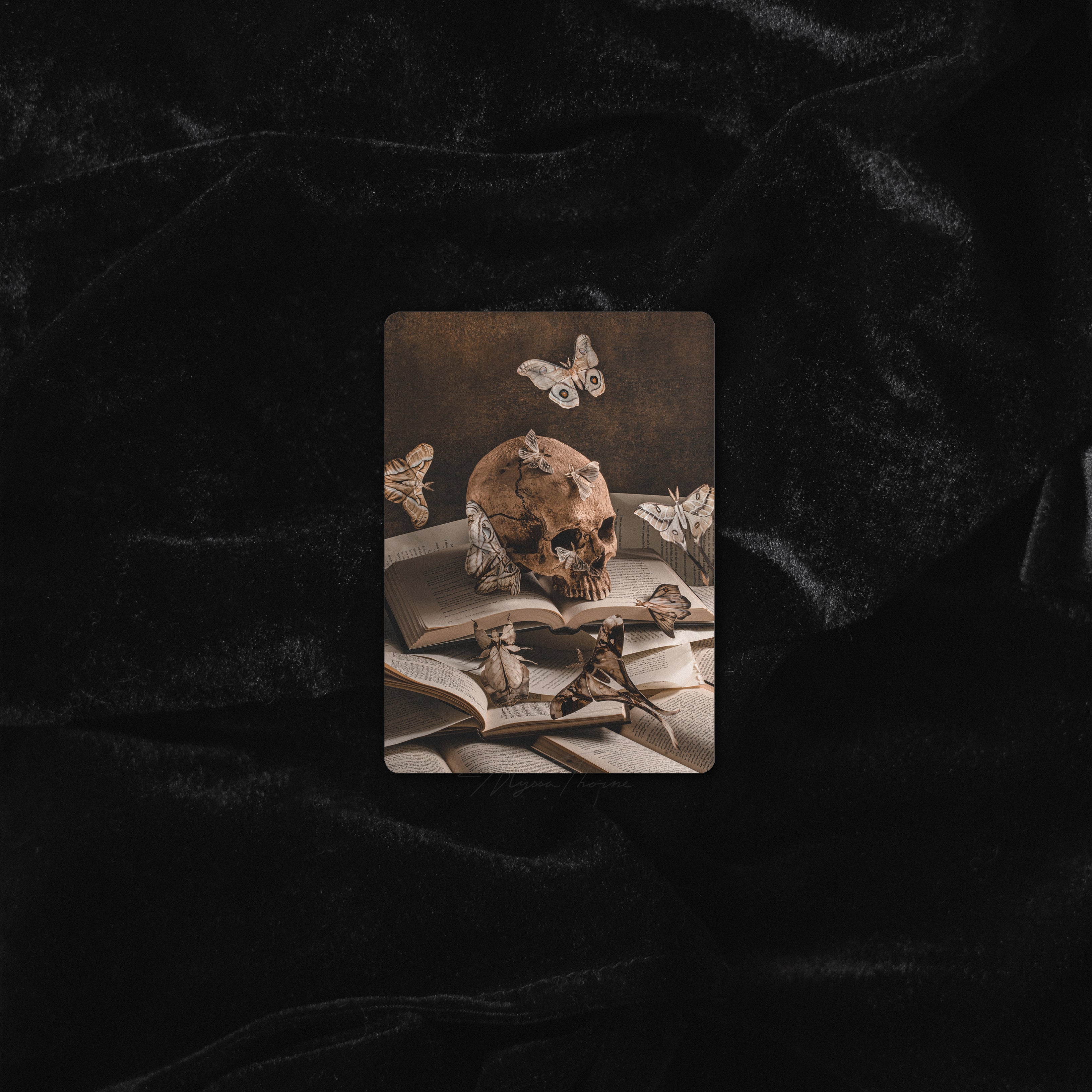 BURY ME IN THE LIBRARY | TRADING CARD PRINT