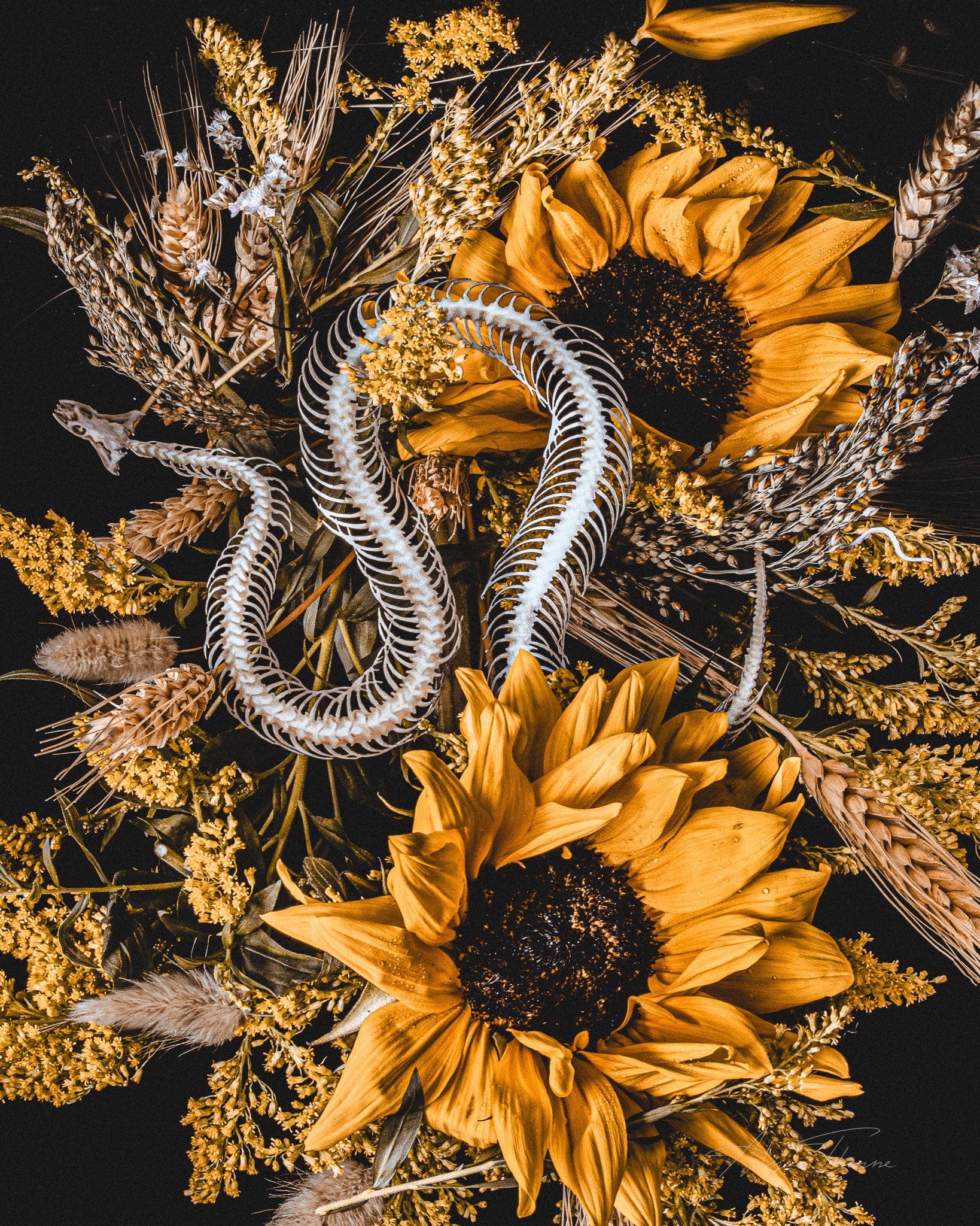 Death Of Seasons - Fine Art Prints