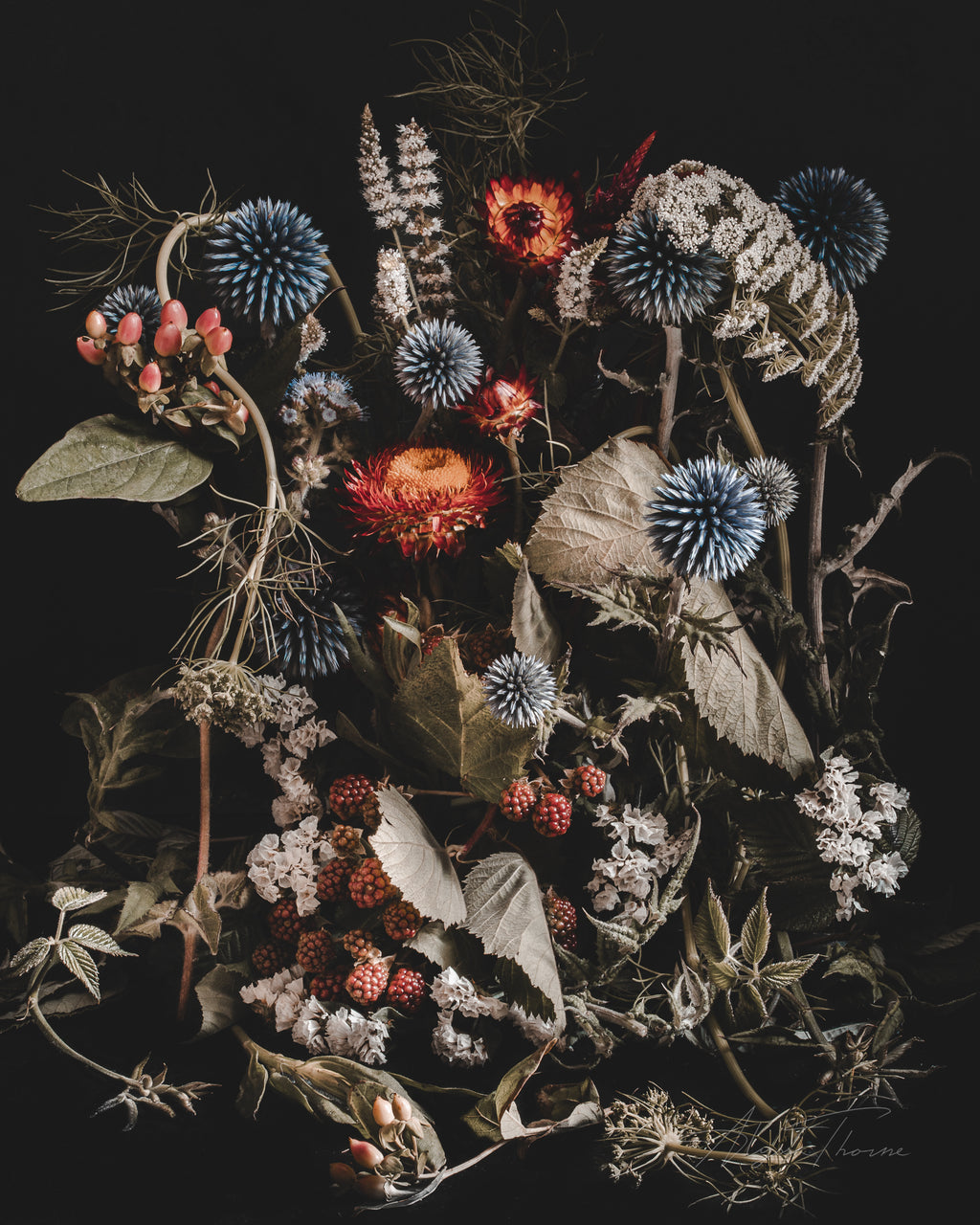 SUMMER'S LAST BREATH - FINE ART PRINTS