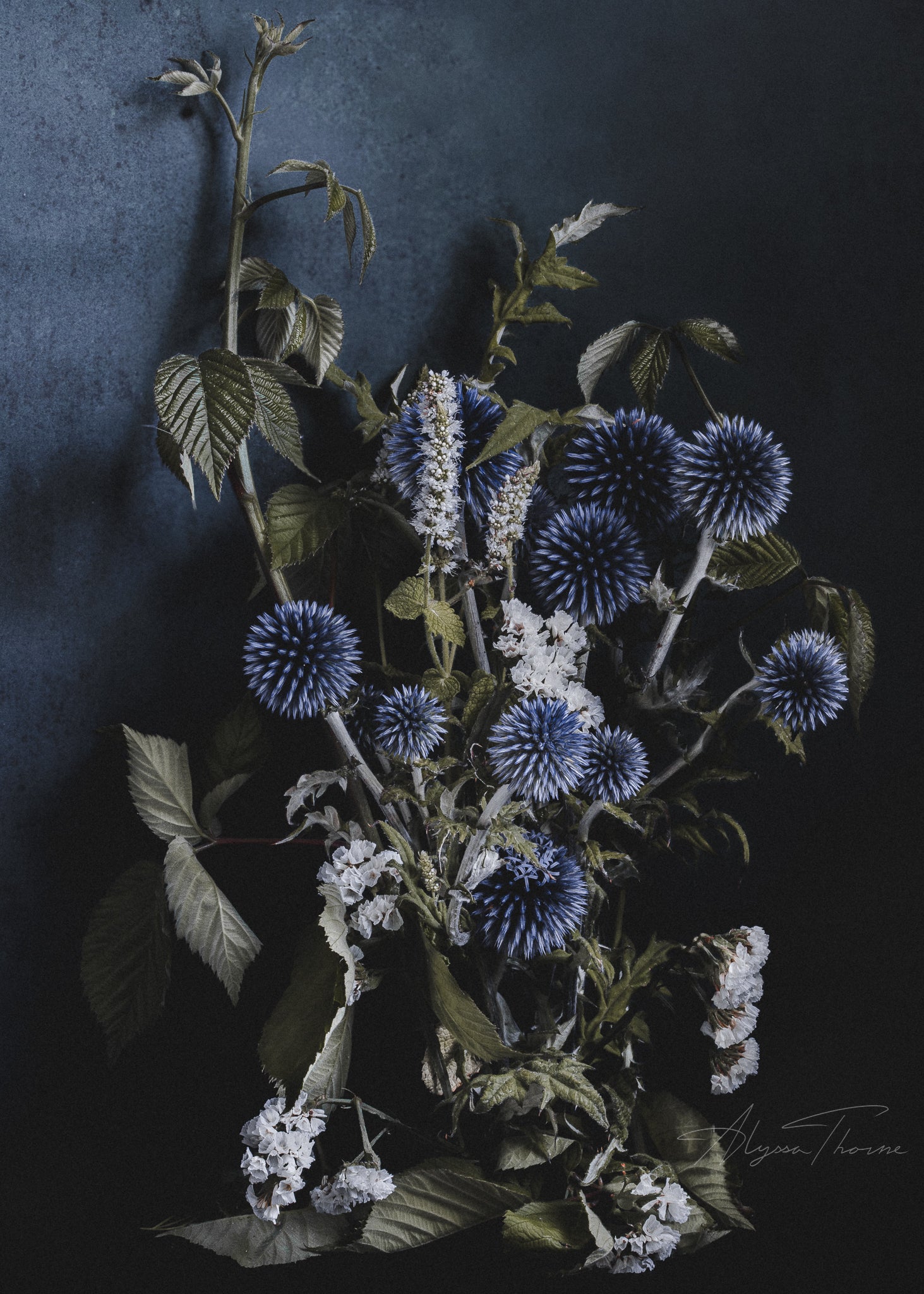 BLUE MONDAY - FINE ART PRINTS