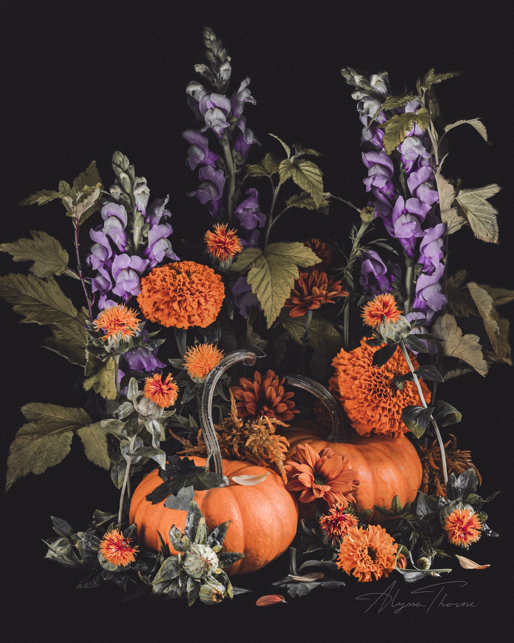 AT SEPTEMBER'S END - FINE ART PRINTS