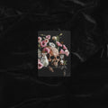 VANITAS I | TRADING CARD PRINT