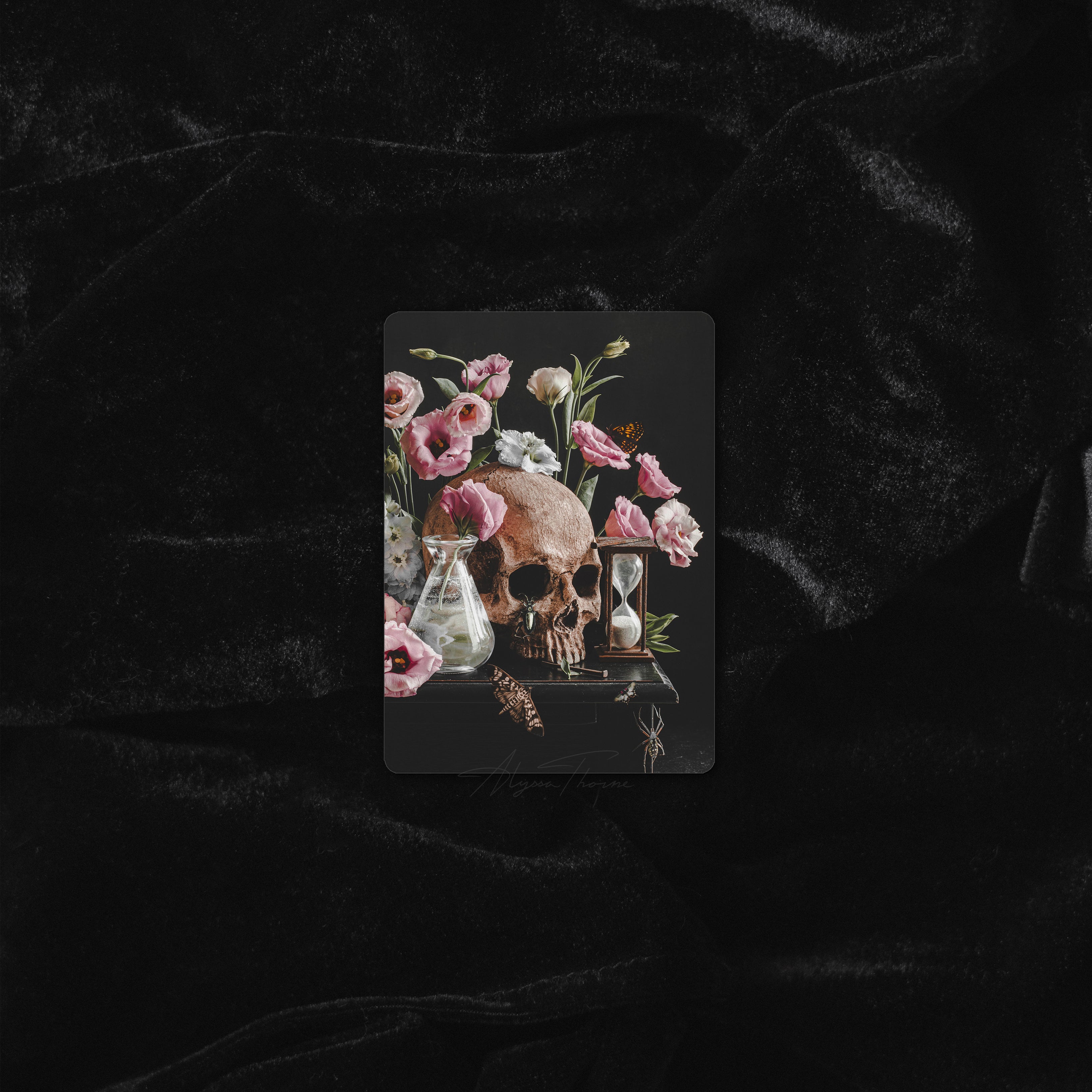 VANITAS I | TRADING CARD PRINT