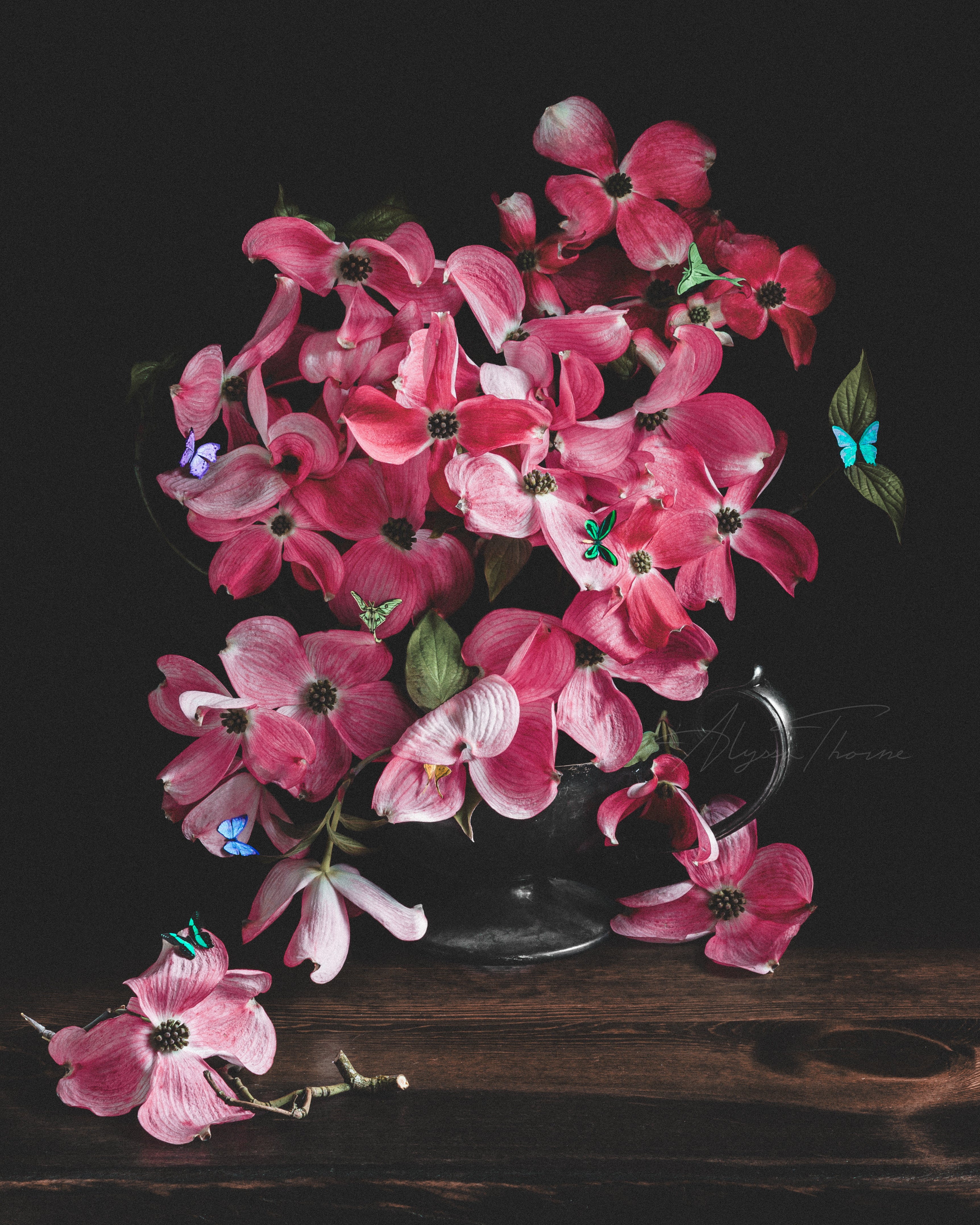 STILL LIFE WITH DOGWOOD - FINE ART PRINTS