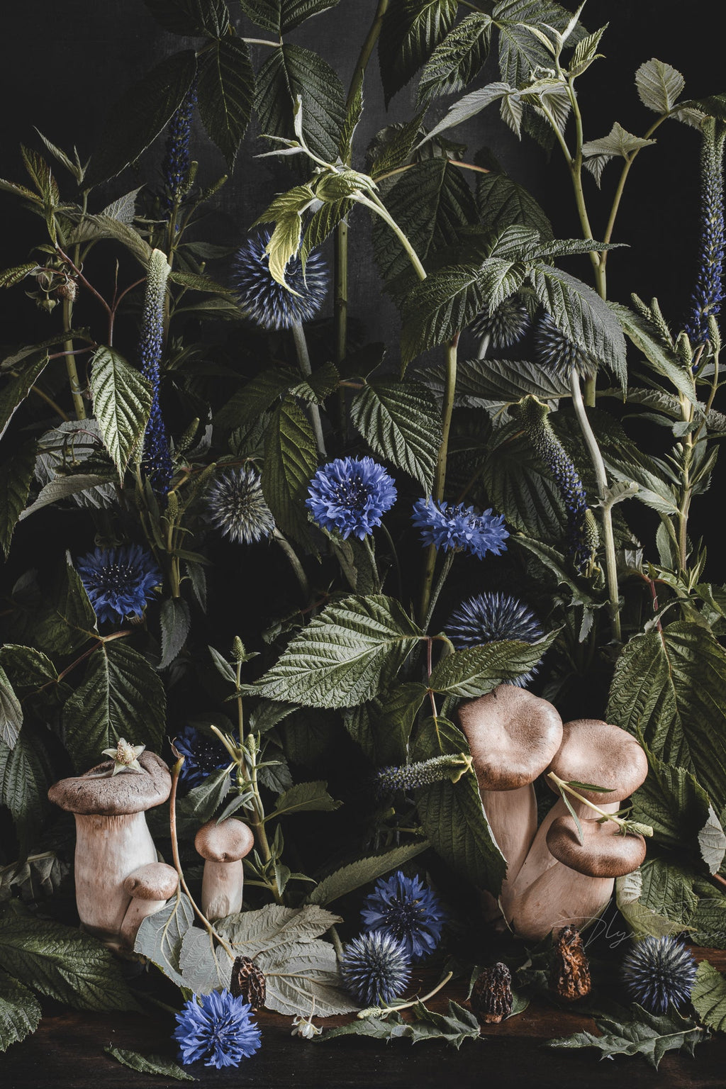 Undergrowth - Fine Art Prints