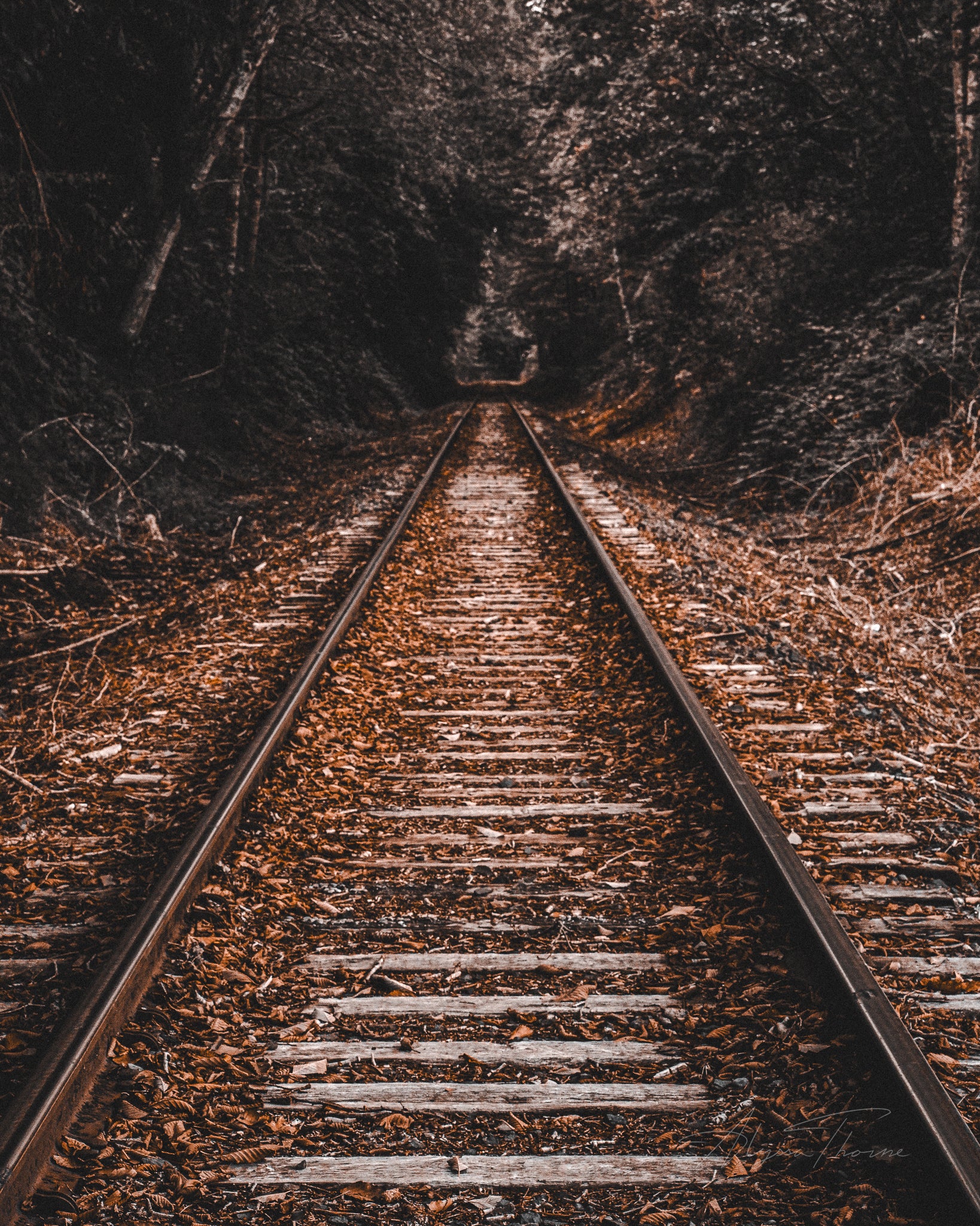 GHOST TRAIN - FINE ART PRINTS